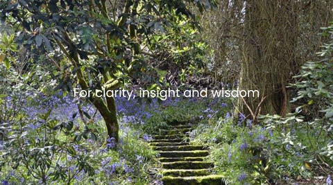 For clarity, insight and wisdom