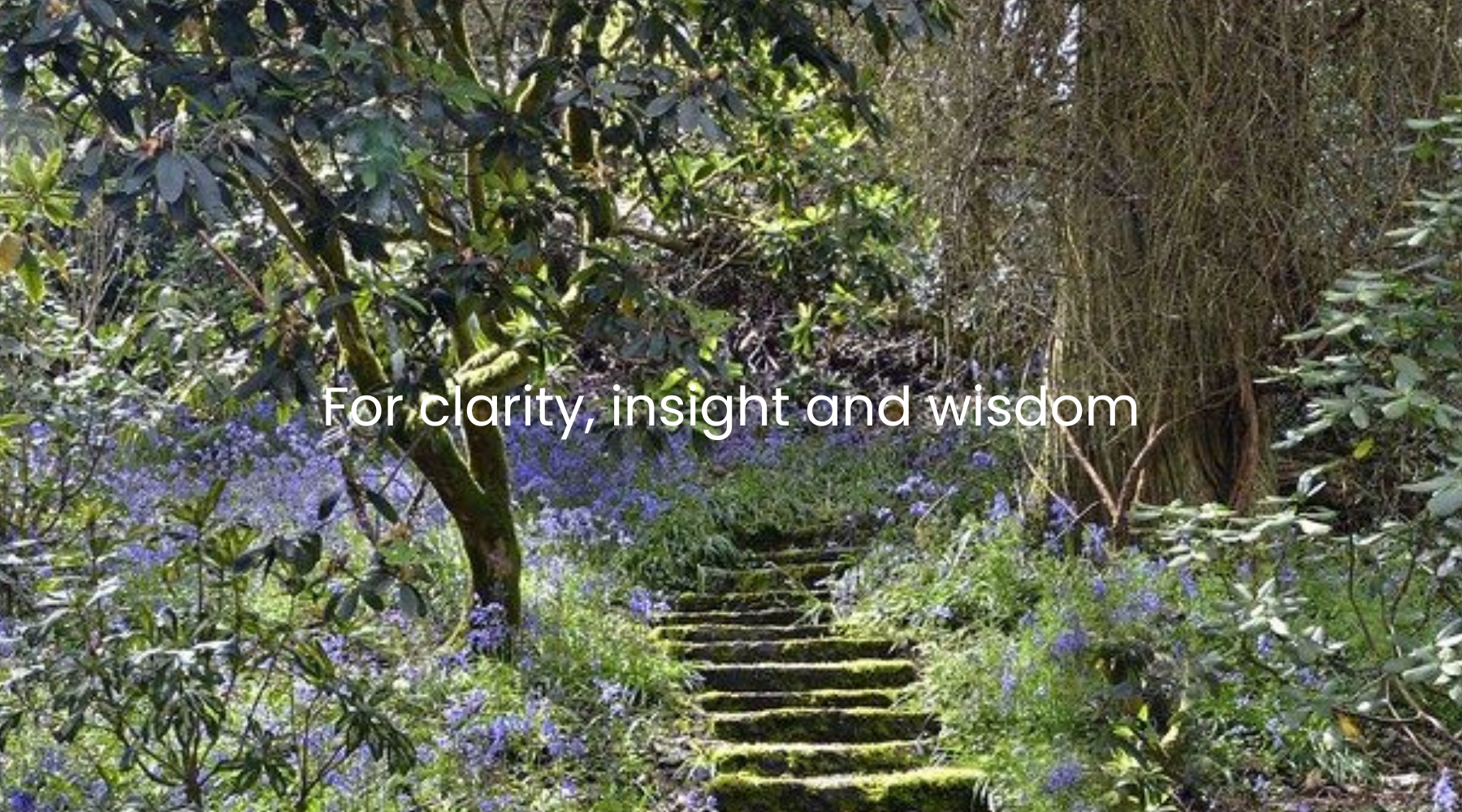 For clarity, insight and wisdom