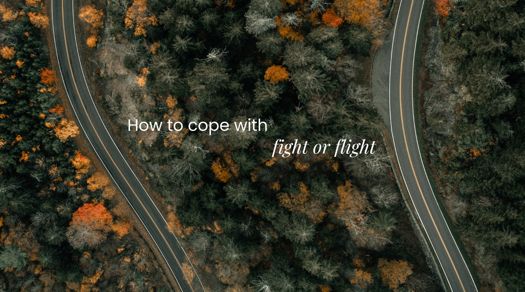 How to cope with fight-or-flight